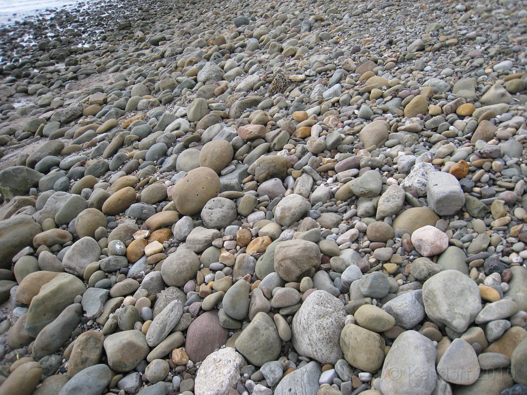 Carpinteria California 2010-02 0170.jpg - A trip to Carpinteria California. Surfing, food, beachs.